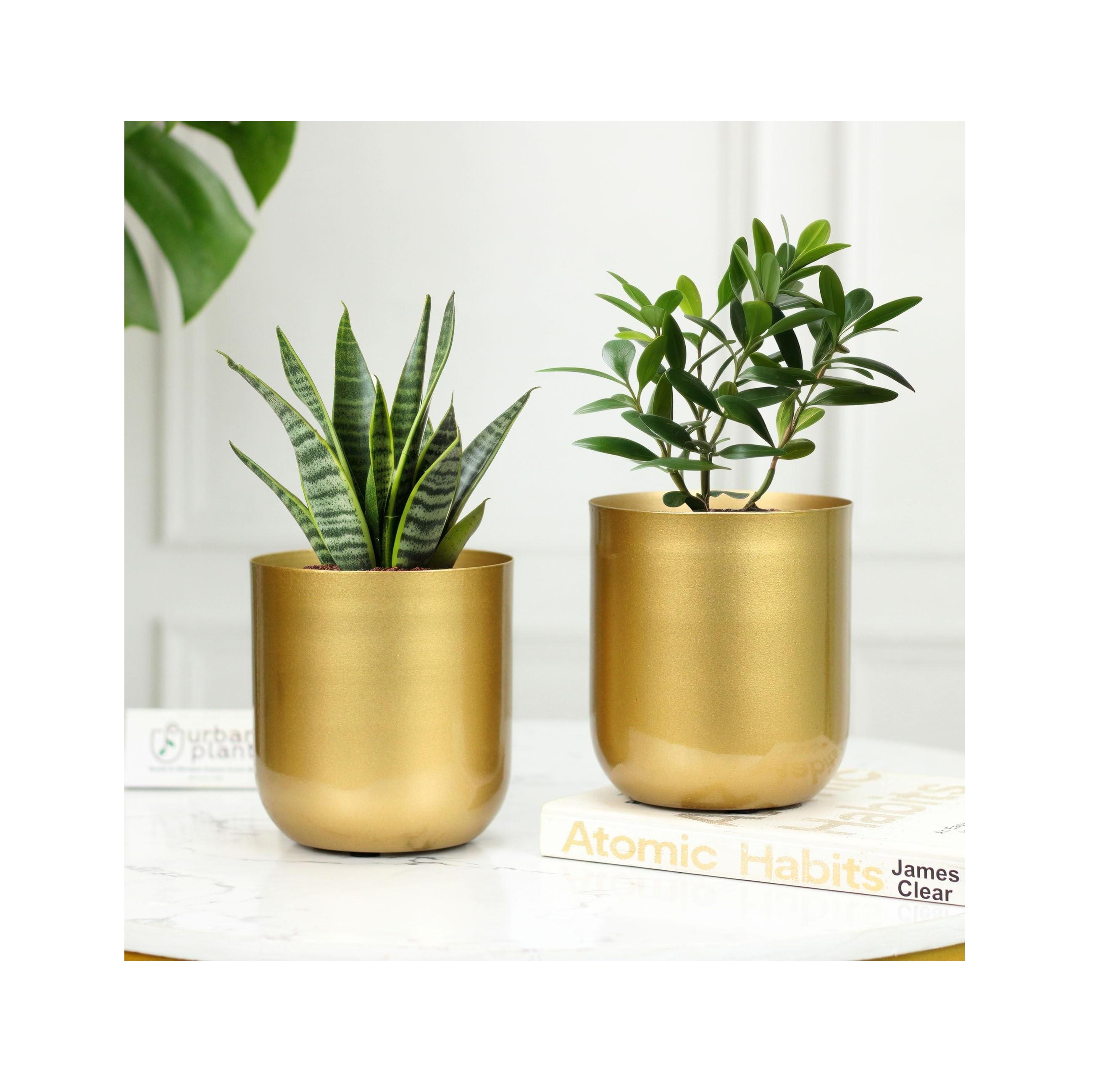 สีธรรมชาติ