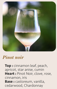 เทียนหอมอโรมาเธอราพี พิโน นัวร์ 15 ซล. สไตล์โมเดิร์นสุดหรู ทำด้วยมือ พร้อมโลโก้สั่งทำพิเศษ ขี้ผึ้งผสม รูปทรงกระบอก ผลิตในฝรั่งเศส - Product Image 5