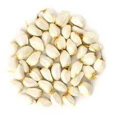 Semillas de Girasol de Grado Natural, Origen Sudáfrica - NJICUDA GLOBAL TRADE PTY LTD - Product Image 5