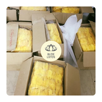 Natuurlijke Mango Lederen Strips Gemaakt Van 100 Procent Mangopuree Een Leuke En Taaie Fruitrolsnack Voor Alle Bulkrollen Om Opnieuw In Te Pakken