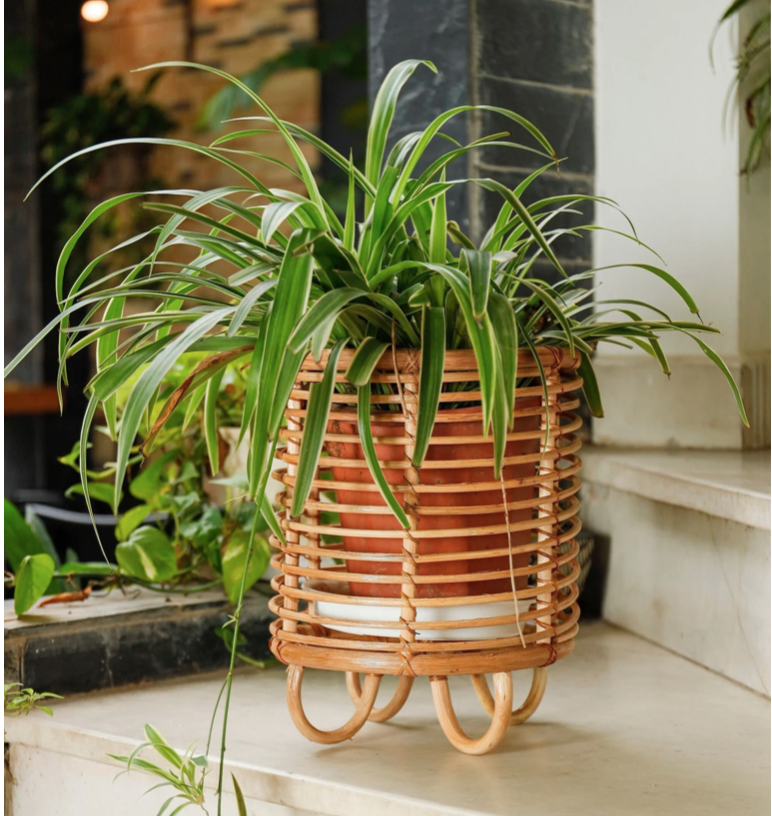 ปรับแต่ง