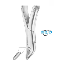 Forceps dentaires en acier inoxydable de haute qualité pour l'extraction des incisives, des premiers molaires et des dents de lait, fig. 62 - Product Image 5