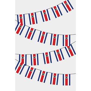 Rectangular Party <b>Banners</b> with Costa Rican Flags - Product Image 1