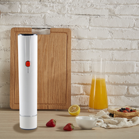 Vente chaude Automatique Mini Ménage En Plastique Sac D'étanchéité Machine Alimentaire Électrique Vide Scellant Pompe