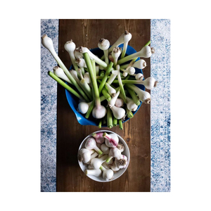 Suministro a granel de ajo fresco a bajo precio, perfecto para cocinar y procesar alimentos - Product Image 6