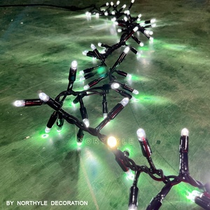 Không thấm nước dẫn pháo cụm chuỗi đèn ấm trắng cổ tích đèn tùy chỉnh màu sắc nhấp nháy trang trí ngoài trời - Product Image 2