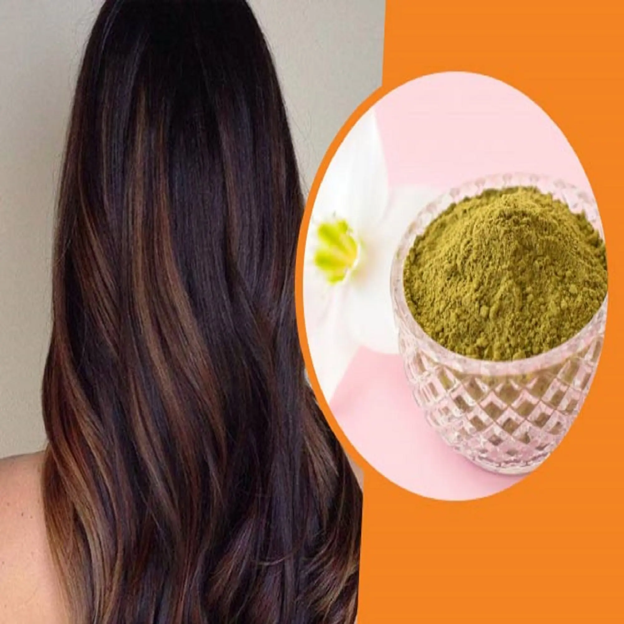 Meilleure qualité colorant matière première 100% poudre de henné naturel pur organique pour les cheveux | Vente par l'exportateur indien avec étiquetage privé