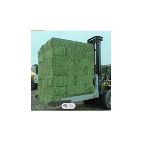 Pellets de Heno de Alfalfa Fermentado de Alta Calidad, 60% de Proteína, Alimento para Animales, para Caballos, Ganado, Cerdos, Peces - Empaque de 25 kg/bolsa, Grado Uno - Product Image 5