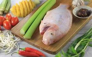 FILET DE TILAPIA ROUGE TOUT NATUREL CONGELÉ RÉCOLTE PROPRE QUALITÉ NUTRITION PURE POUR LE SOUTIEN-ÊTRE - Product Image 4