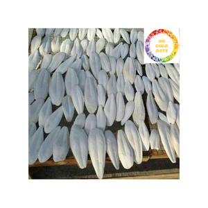 Os de seiche séché au soleil naturel d'exportation en vrac pour l'alimentation des oiseaux, nettoyé et séché sans produits chimiques, OEM disponible - Product Image 3