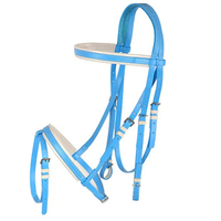 Accessoires de licol pour cheval en PVC réglable, bride et licol d'endurance pour cheval