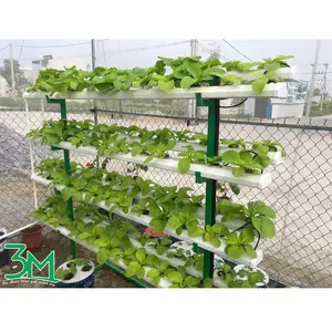 High Quality Hot Product Green White Flexible Manufacturing Farms Balcony Terrace Garden A Types Vertical