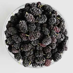 MORAS CONGELADAS IQF/FRUTA ENTERA/SIN AZÚCAR AÑADIDO/CALIDAD DE EXPORTACIÓN PARA EL MERCADO GLOBAL DE ALIMENTOS - Product Image 4