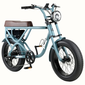 LA MEJOR OFERTA EN STOCK: Bicicleta Eléctrica de Montaña LL-AMA Trike CT11 con Llantas Anchas, 35ah, 2000w, 50mph (Completamente Ensamblada) - Product Image 1