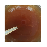 Abeille à miel vietnamienne: Elixir d'or naturel pour la santé et la vitalité