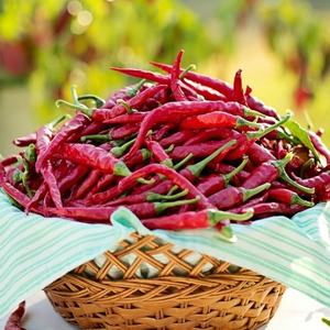 Vente en gros d'épices chaudes de haute qualité - Product Image 2