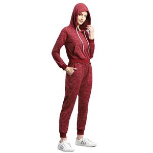 Training Jogging Wear Survêtements Pour femmes Logo Personnalisé Pullover Hoodies Joggers Costumes 2 Pièces Ensemble Designer Femmes Survêtement - Product Image 4