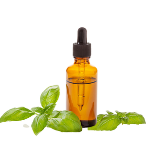 100% huile essentielle d'extrait de plante de Tulsi naturel pur huile de basilic doux à la vente directe des fabricants de quantité en vrac pour les acheteurs en vrac - Product Image 2