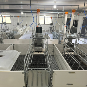 Caisses de mise bas en acier inoxydable utilisées par le fabricant vietnamien pour les porcs - Product Image 5