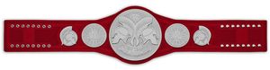 Ceintures de championnat de lutte Trophées Médailles et récompenses le symbole ultime de la victoire et de l'excellence Ceintures de championnat - Product Image 3