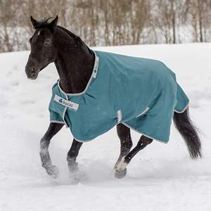 Customized Professional Waterproof Horse <b>Rugs</b> for Winter Durable Polyester Fabric Comfortable Cotton <b>Padding</b> Indoor-Outdoor Use - Product Image 4