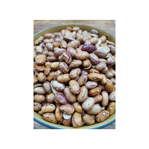 Top quality sugar <b>beans</b> for supermarkets and dry goods vendors - Product Image 1