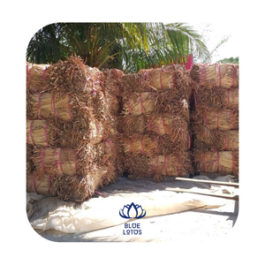 Jacintos Secos Naturales GEM - Product Image 1