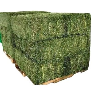 Heno de alfalfa de ganado natural de grado a grado alimenticio para perros a la venta - Product Image 5