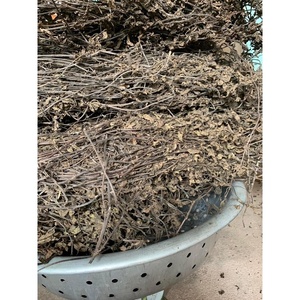 ใบเมโซน่าชิเนนซิสสำหรับชาสมุนไพรธรรมชาติ - Product Image 3