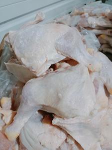 ขายส่งขาไก่แช่แข็งฮาลาล คุณภาพพรีเมียม ขายดี - Product Image 6