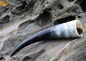 Fabricant et exportateur de tasse de corne de boeuf de buffle à vendre et fabriqué avec une corne à boire de haute qualité - Product Image 6