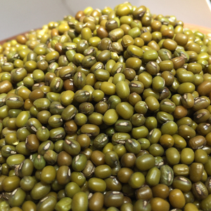 Lentejas Verdes Enteras Pulidas Sorortex Premium, Altas en Proteína, 23 a 24 Gramos de Proteína, 347 Calorías, 15% de Humedad, Paquete a Granel 1 - Product Image 3