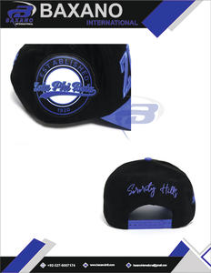 Gorra de béisbol con letras griegas de la hermandad Zeta Phi Beta, bordado 3D, ajustable, informal, deportiva, para exteriores, unisex, gorra de la hermandad ZPB - Product Image 6