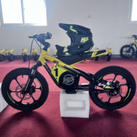 Vélo Électrique Junior Populaire 2026 pour Enfants, Vélo d'Équilibre avec Moteur 650W, Moto Hyper Bee pour Enfants, Sports Tout-Terrain et Course
