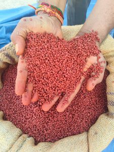 Semillas de Annatto Rojo Secas en Gránulos, Especia Natural de Chile para Cocinar y Preparar Alimentos - Product Image 3