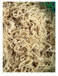 Fabricant d'ingrédients d'emballage de style algue Sea Moss Eucheuma Cottonii brut du Vietnam - Product Image 4