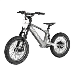 ฟลายอิ้งฟ็อกซ์ อีเล็คทริค ยูธ 18'' ดิร์ทไบค์ - 500W 36V - Product Image 3