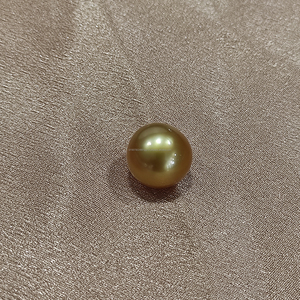 Perle de mer dorée de qualité AA de 14 mm, exsudant une élégance intemporelle, idéale pour la création de bijoux luxueux et d'embellissements élégants. - Product Image 1