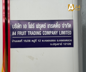 มรสุมไทยแบบสดใหม่ทุเรียนทุเรียนแช่แข็งแบบไทย - Product Image 6