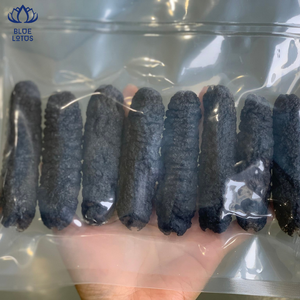 Concombre de mer noir séché de haute qualité, pas cher, échabre holographique du Vietnam - Product Image 4