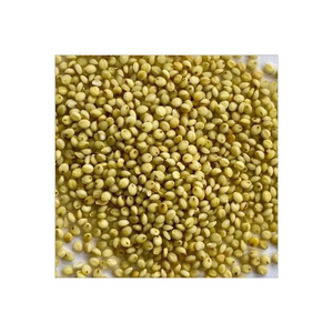 Millet jaune torréfié biologique en vrac pour les commandes de gros volumes et l'exportation - Product Image 1