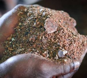 Ofrece pastel de palmiste que se exporta a un precio asequible y no decepciona a los consumidores - Product Image 1