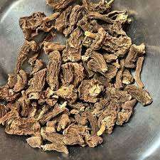 Bryony (Bryonia Dioica Jacq.) - Product Image 3