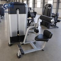 Máquina de Extensión Lumbar Comercial con Pila de Pesas de 100 kg, Equipo de Entrenamiento de Fuerza para la Espalda Baja para Gimnasios Comerciales