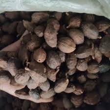 กระวานธรรมชาติจากเวียดนาม/แหล่งธรรมชาติ/แห้งสนิท/ส่งออกคุณภาพ - Product Image 2