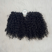 Cheveux Humains Vietnamiens Bouclés Pixie à Double Épaisseur de Haute Qualité, Mèches Tissées, Fournisseur en Gros, Cheveux Vierge Mélangés