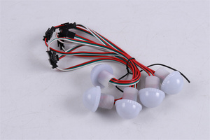 RGB lập trình 30 Mét Công viên giải trí đèn 12V <span class=keywords><strong>24V</strong></span> <span class=keywords><strong>pixel</strong></span> LED điểm đèn - Product Image 5