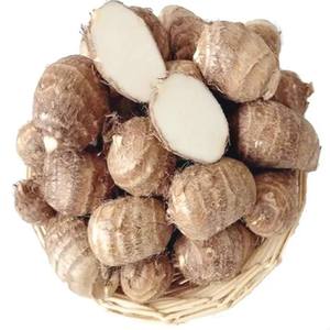 TARO CONGELADO VIETNAMISTA/TARO ENTERO, RECORTADO Y CUBEDO/EXPORTACIÓN DE ALTA CALIDAD - Product Image 1