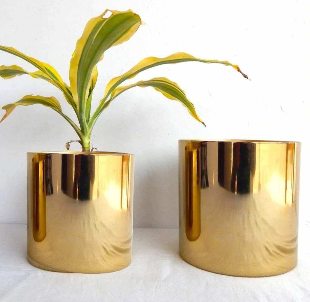 ตามที่แสดง