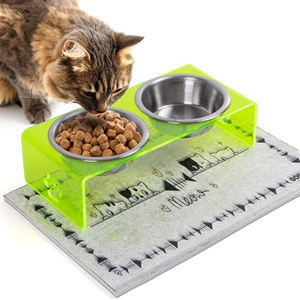 Double <b>Bowl</b> Acrylic Waterproof Portable Pet Feeding Station <b>Large</b> Capacity Ceramic Dishes Clear Modern Design for Cats <b>Dogs</b> - Product Image 2